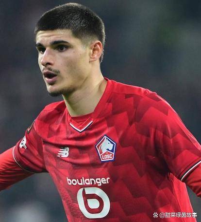 法甲第21轮分析：梅斯对阵里尔